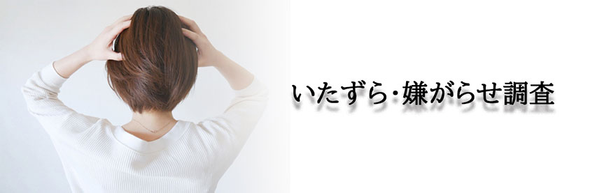 【掛川市　探偵】素行調査｜掛川市で素行調査で探偵をお探しならスマイルエージェント掛川にお任せください。